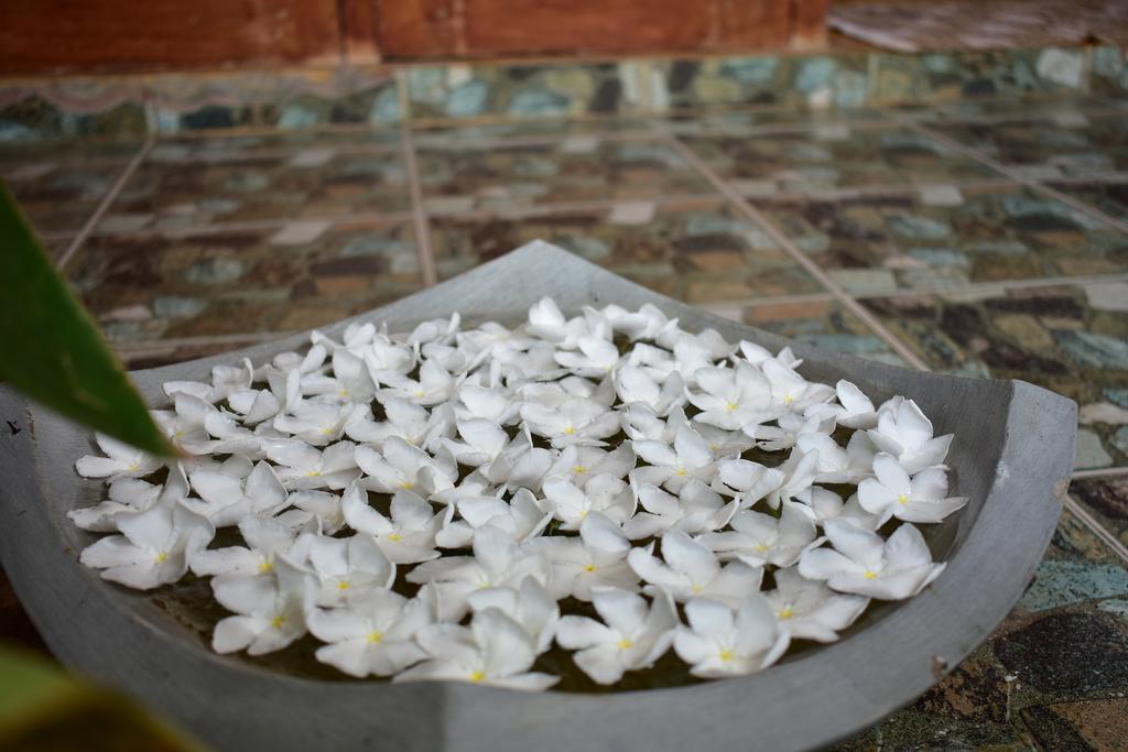 Villa Aroshina With Cooking Class Galle Eksteriør bilde